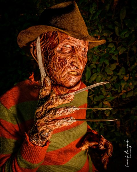 Contest Photo