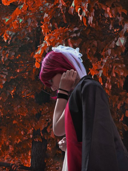 Contest Photo